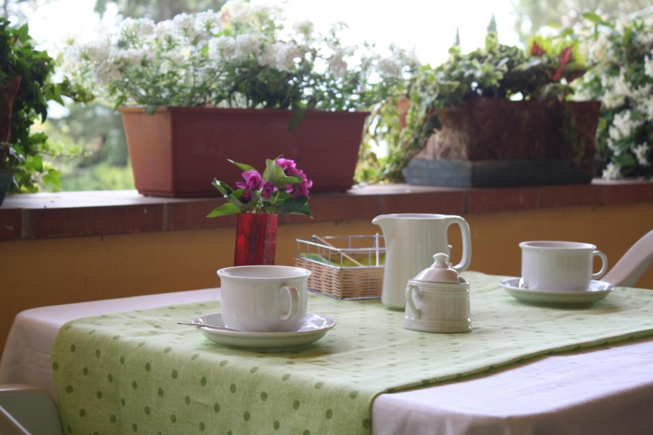 Villa "L'Unica " Lucca Ngoại thất bức ảnh
